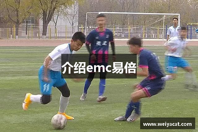 介绍emc易倍